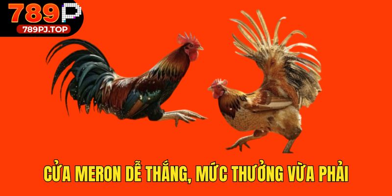 Cửa Meron dễ thắng, mức thưởng vừa phải