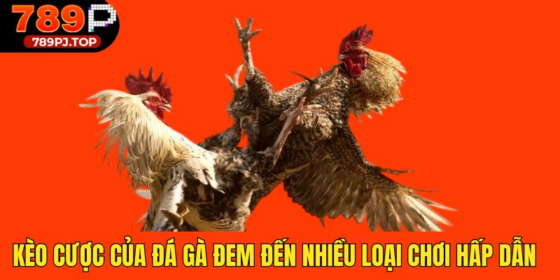 Kèo cược của đá gà đem đến nhiều loại chơi hấp dẫn