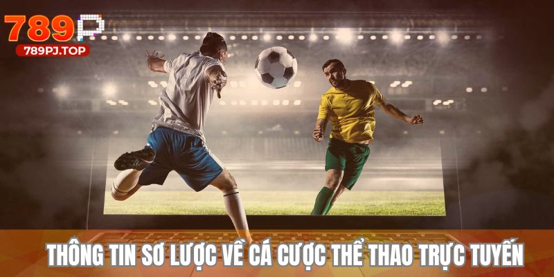 Thông tin thú vị có thể chưa biết về cá cược thể thao trực tuyến 