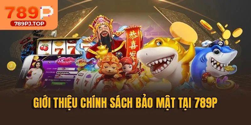 Tóm lược thông tin về chính sách bảo mật
